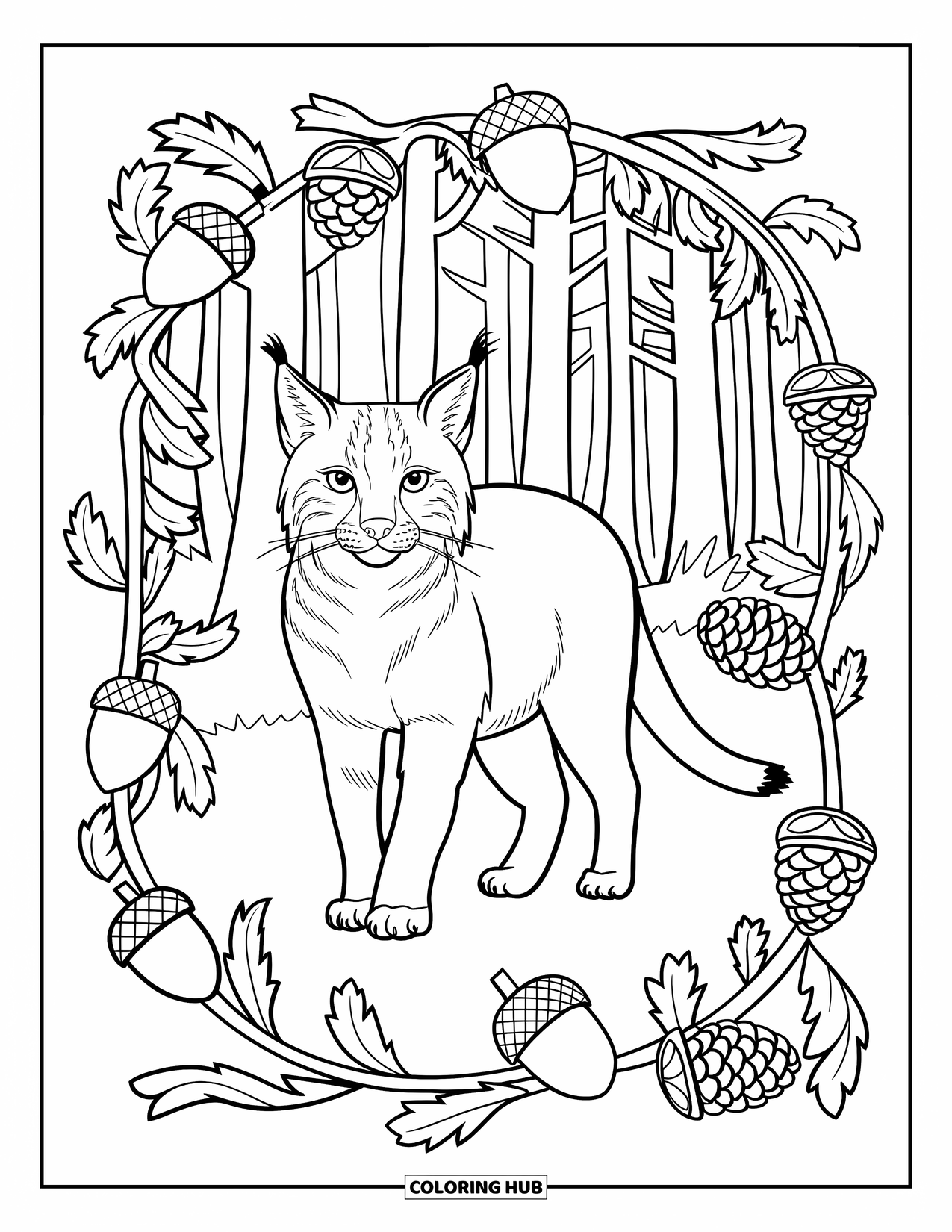 Bobcat Coloring Page for Adults: A bobcat stands tall in a forest scene with pinecones and leafy branches