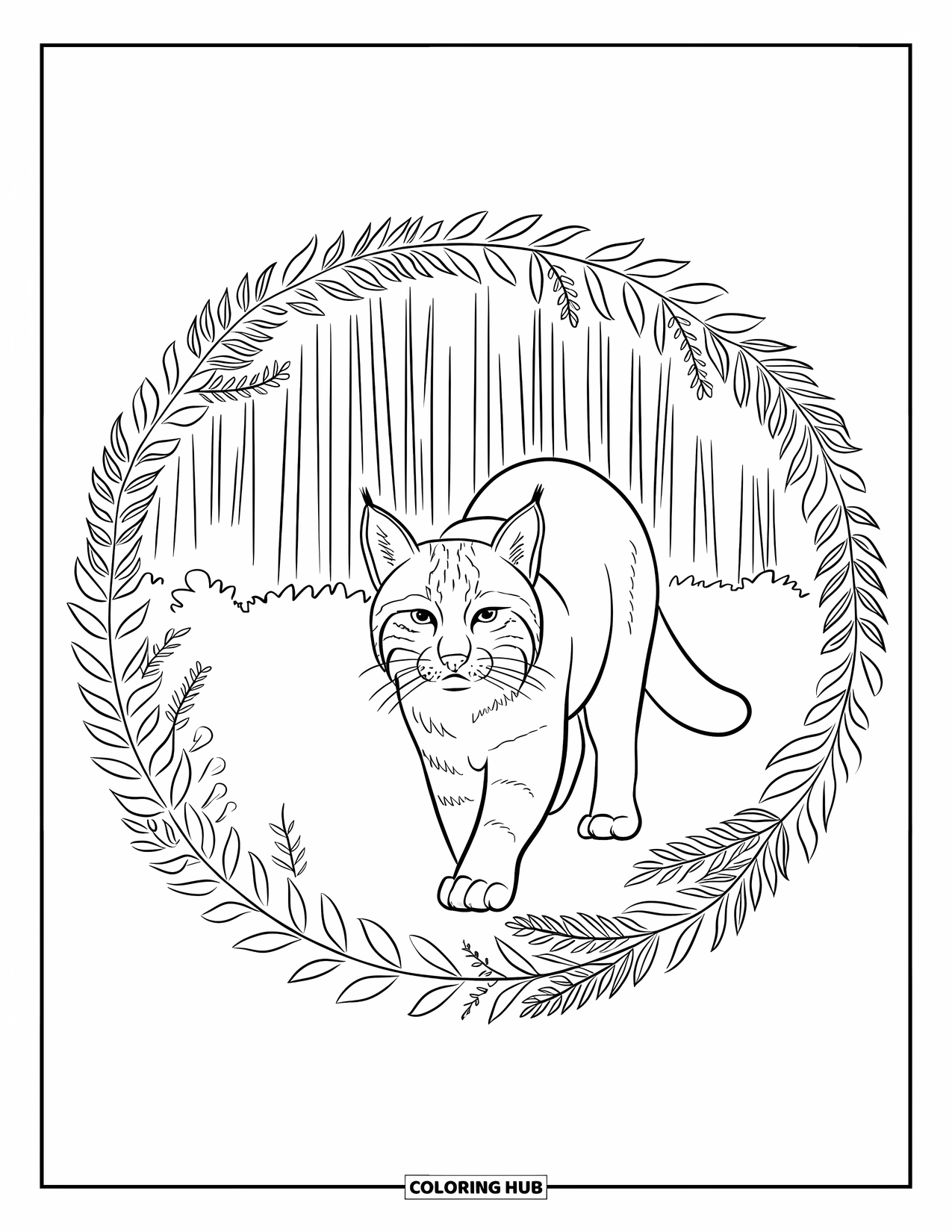 Bobcat Coloring Page for Adults: A bobcat walks through forest ferns in a circular woodland design