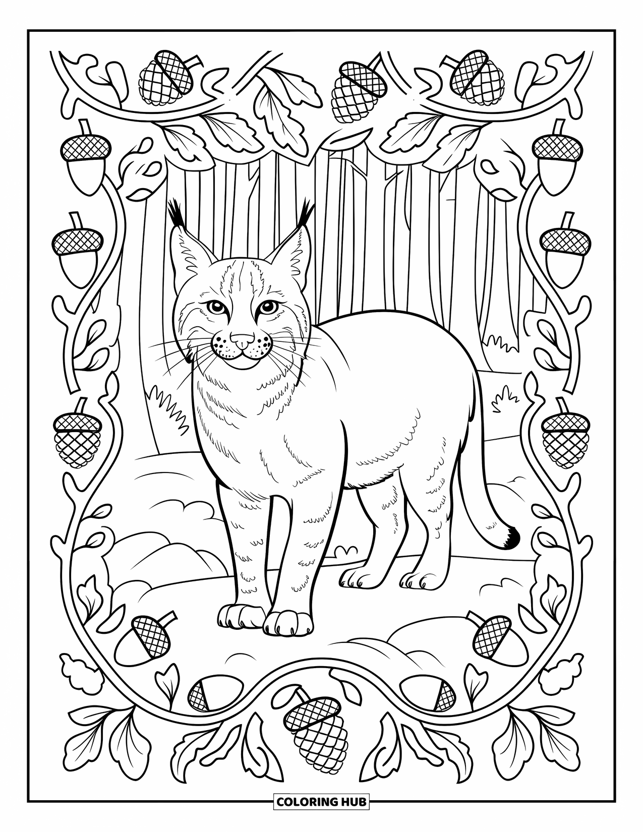 Bobcat Coloring Page for Adults: A proud bobcat stands on rocks, framed by acorns and twirling branches