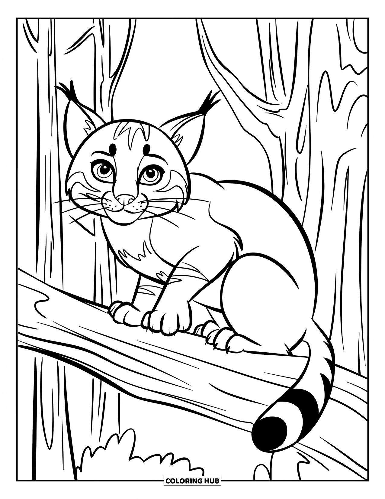 Bobcat Coloring Page for Kids: A bobcat sits alert on a tree branch in a quiet forest