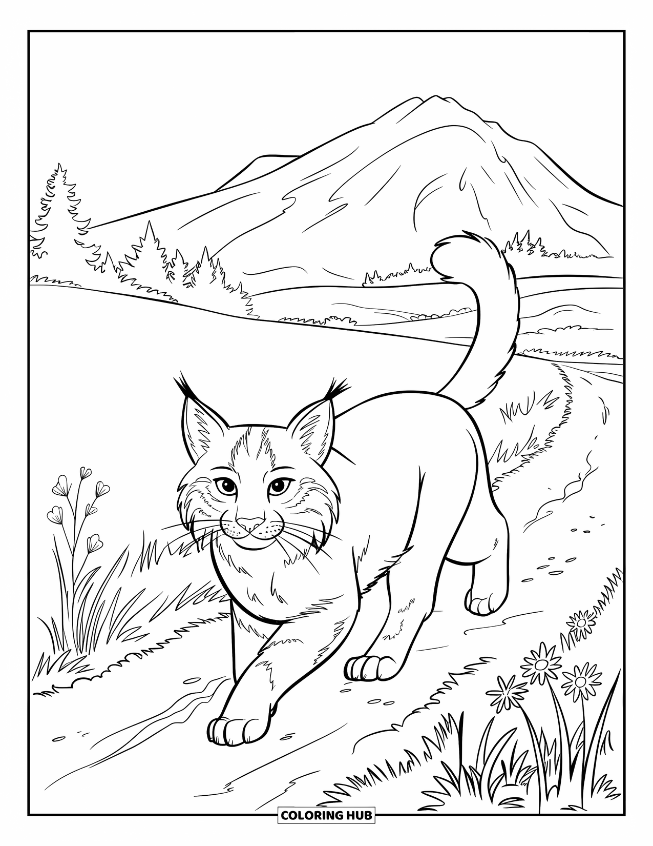 Bobcat Coloring Page for Kids: A bobcat strolls a dirt path with flowers and a clear sky