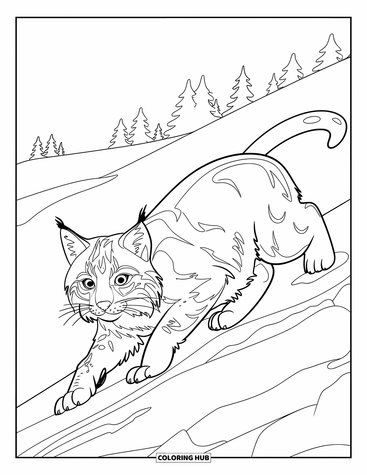 Bobcat Coloring Page for Kids: A bobcat walks in snow with pine trees in the distance