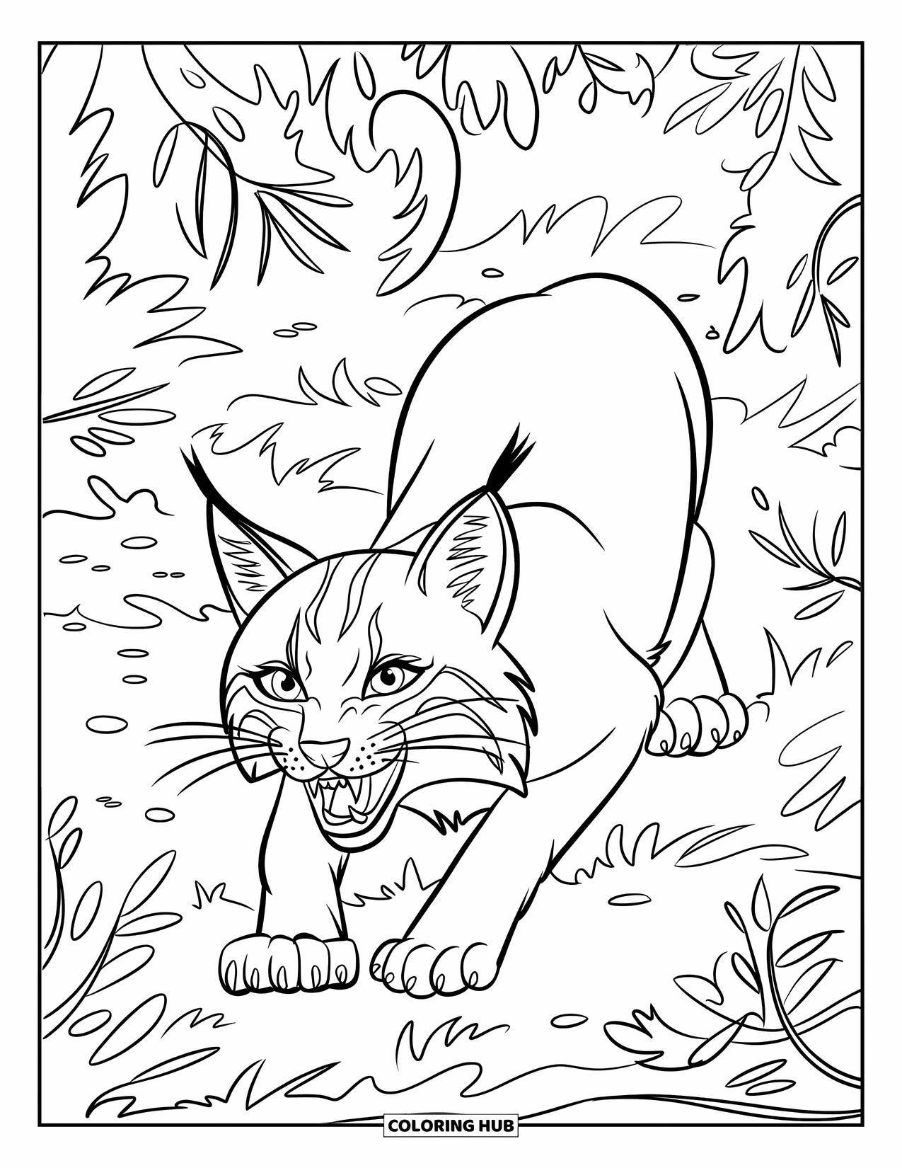 Bobcat Coloring Page for Kids: A bobcat with bared teeth crouches in leafy wild greenery