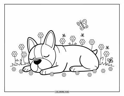 Desen de colorat cu Boston Terrier pentru adulți: Boston Terrier dormind într-un câmp de flori cu un fluture și un soare zâmbitor