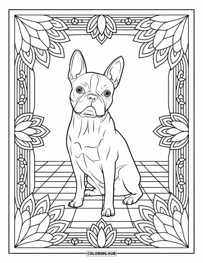 Desen de colorat cu Boston Terrier pentru adulți: Boston Terrier pe un podea în carouri, ornat cu mandale de lotus și borduri decorative