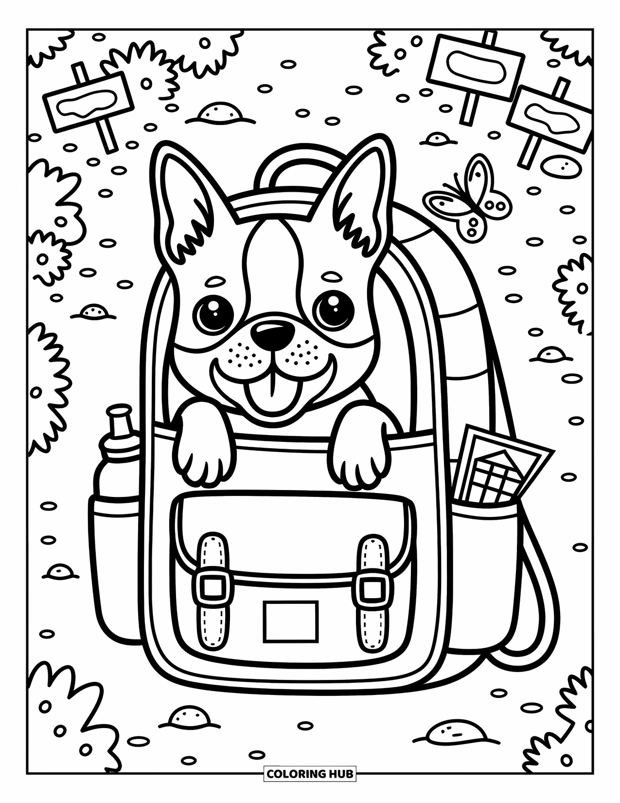 Boston Terrier Coloring Page for Adults: Boston Terrier peeks out of a backpack on a trail with signs and a butterfly