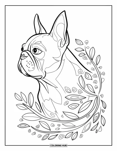 Desen de colorat cu Boston Terrier pentru adulți: Profilul Boston Terrier conturat cu vițe florale în spirală și curbe delicate