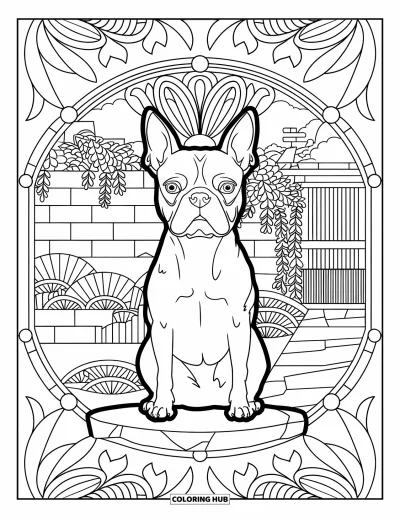 Desen de colorat cu Boston Terrier pentru adulți: Boston Terrier lângă o poartă ornată cu mandale de lotus și decoruri de grădină