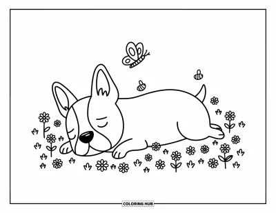 Desen de colorat cu Boston Terrier pentru adulți: Boston Terrier dormind liniștit într-un câmp de flori cu un fluture lângă bot