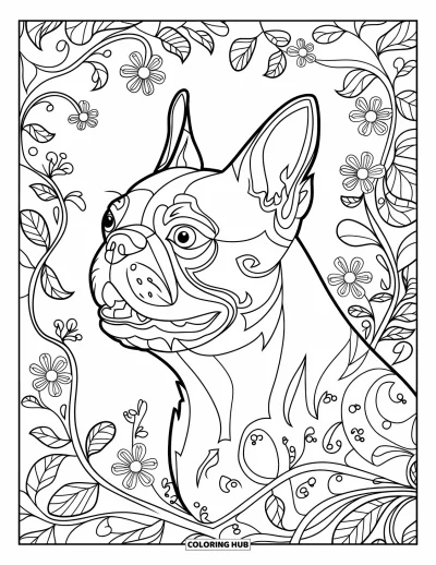 Desen de colorat cu Boston Terrier pentru adulți: Profilul Boston Terrier cu gura deschisă, înconjurat de vițe, frunze și motive florale elaborate
