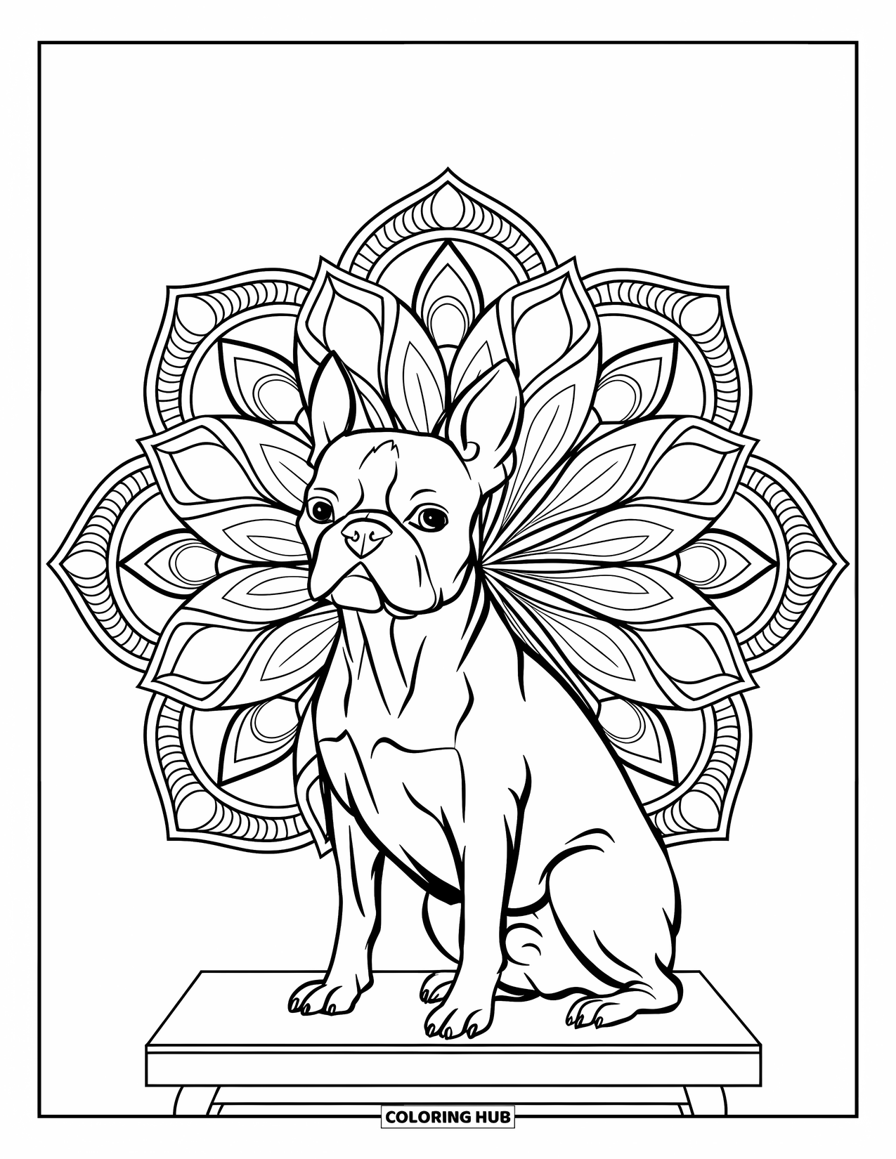 Boston Terrier Coloring Page for Adults: Poised Boston Terrier sits on a platform with symmetrical lotus mandalas behind
