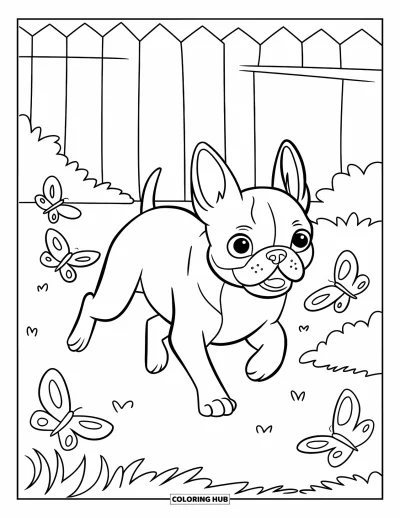 Desen de colorat cu Boston Terrier pentru copii: Boston Terrier alergând vesel printr-o grădină cu fluturi și un gard
