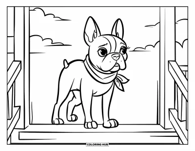 Desen de colorat cu Boston Terrier pentru copii: Boston Terrier cu fular, stând mândru pe o verandă cu câteva trepte