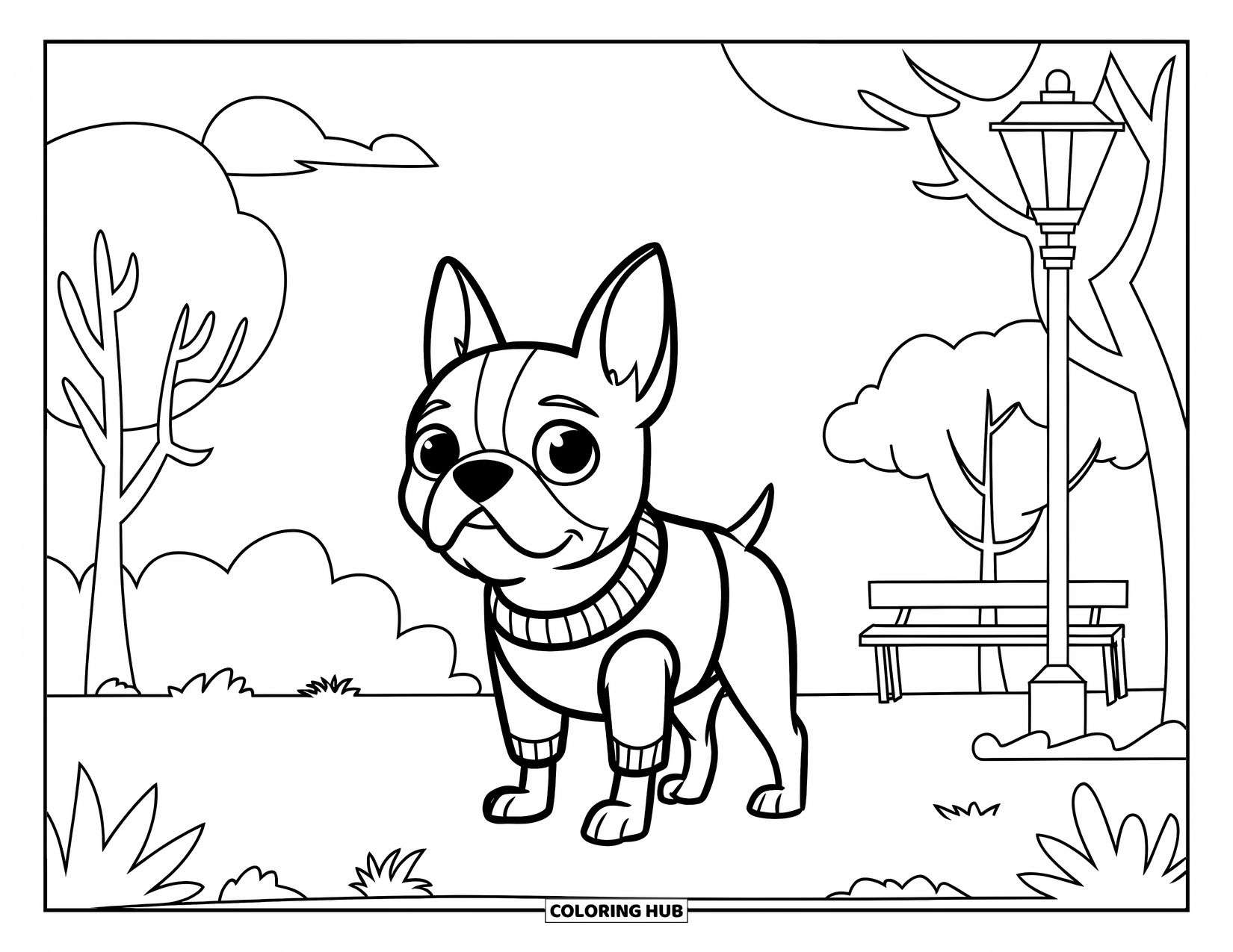 Boston Terrier Coloring Page for Kids: Boston Terrier in a sweater enjoying a quiet day at the park with a bench nearby