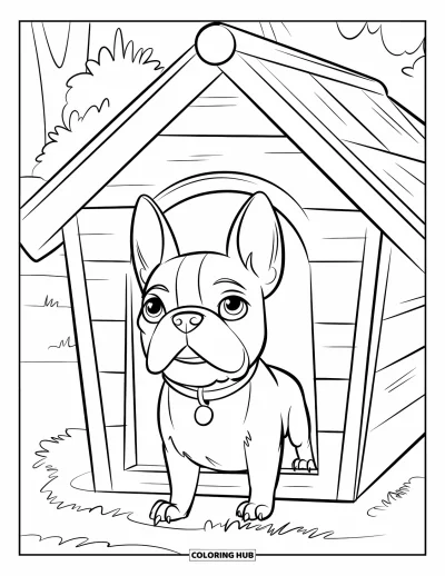 Desen de colorat cu Boston Terrier pentru copii: Boston Terrier privind din căsuța sa înconjurată de copaci