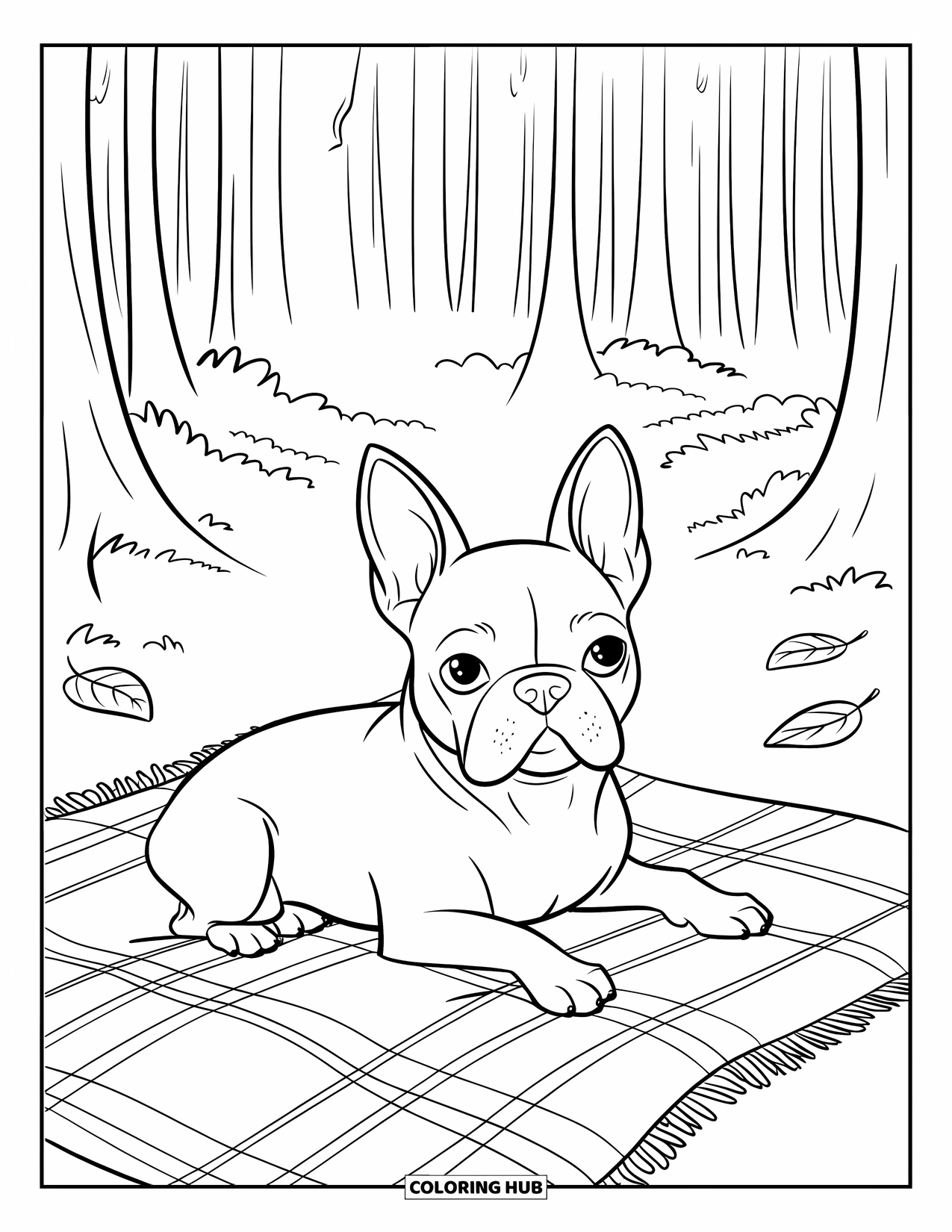 Boston Terrier Coloring Page for Kids: Boston Terrier resting on a blanket under tall trees with leaves scattered around