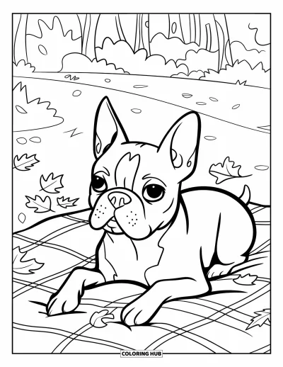 Desen de colorat cu Boston Terrier pentru copii: Boston Terrier odihnit pe o pătură în carouri, înconjurat de frunze de toamnă și copaci