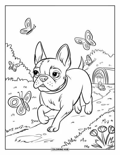 Desen de colorat cu Boston Terrier pentru copii: Boston Terrier alergând pe o cărare din grădină cu fluturi ce zboară în jur