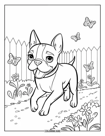 Desen de colorat cu Boston Terrier pentru copii: Boston Terrier alergând printr-o grădină plină de fluturi și flori