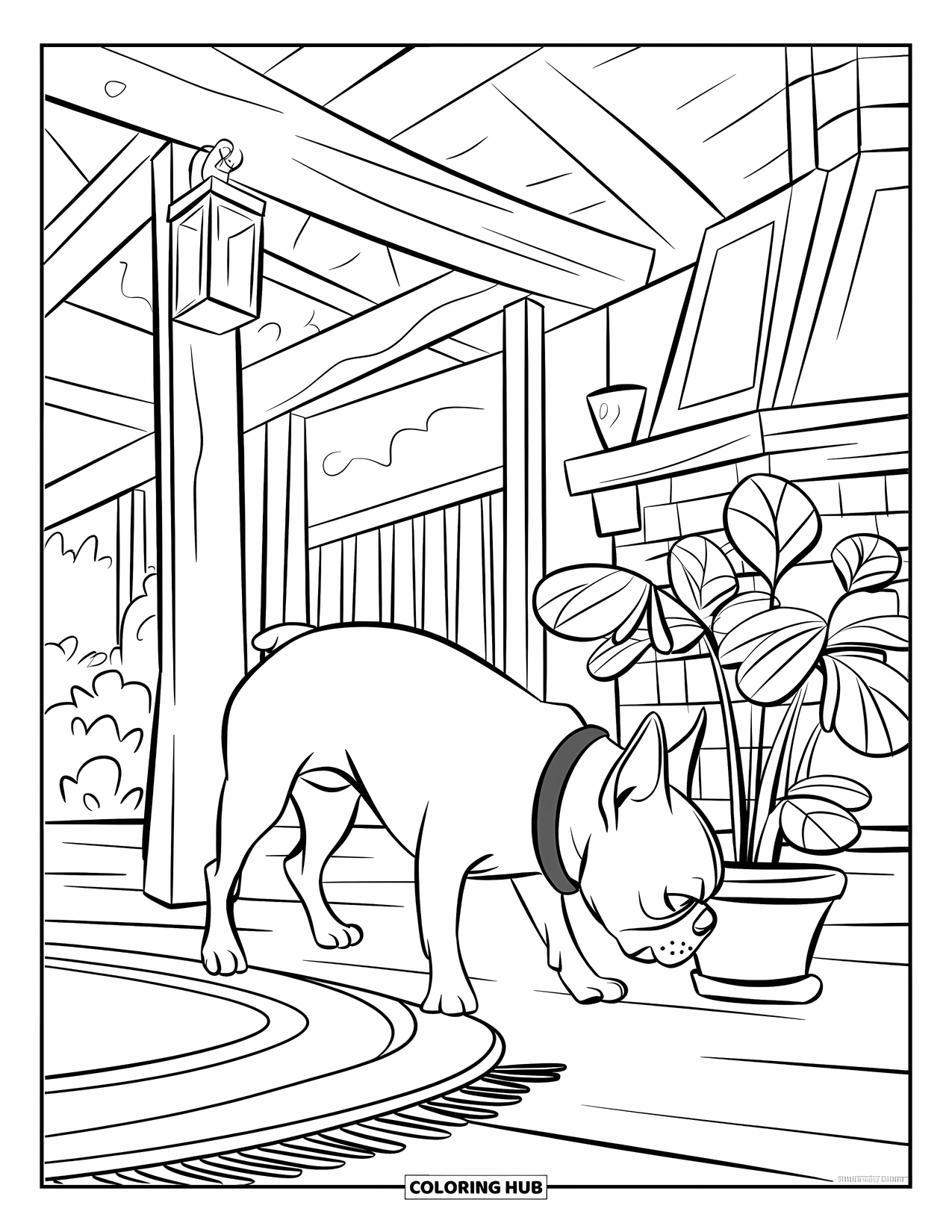 Boston Terrier Coloring Page for Kids: Boston Terrier sniffing a plant in a rustic home with wood beams and a fireplace