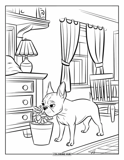 Desen de colorat cu Boston Terrier pentru copii: Un Boston Terrier cu pălărie miroase o plantă într-o cameră vintage primitoare