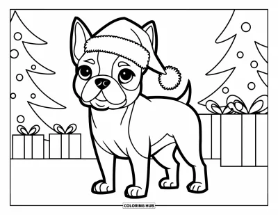 Desen de colorat cu Boston Terrier pentru copii: Boston Terrier cu căciulă de Moș Crăciun lângă brazi și cadouri