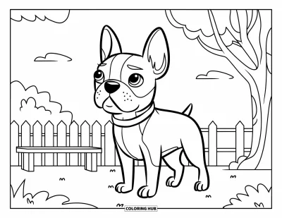 Desen de colorat cu Boston Terrier pentru copii: Boston Terrier cu zgardă relaxat într-un parc liniștit, cu copaci și o bancă
