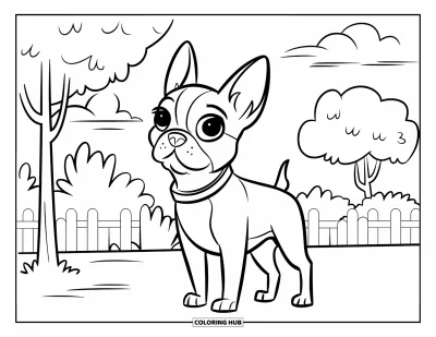Desen de colorat cu Boston Terrier pentru copii: Boston Terrier cu urechi ridicate în parc, lângă copaci și un gard scund