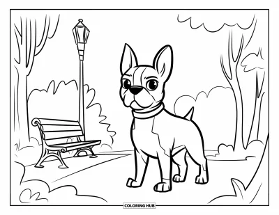 Desen de colorat cu Boston Terrier pentru copii: Boston Terrier încrezător stând mândru într-un parc primitor, lângă o bancă și copaci