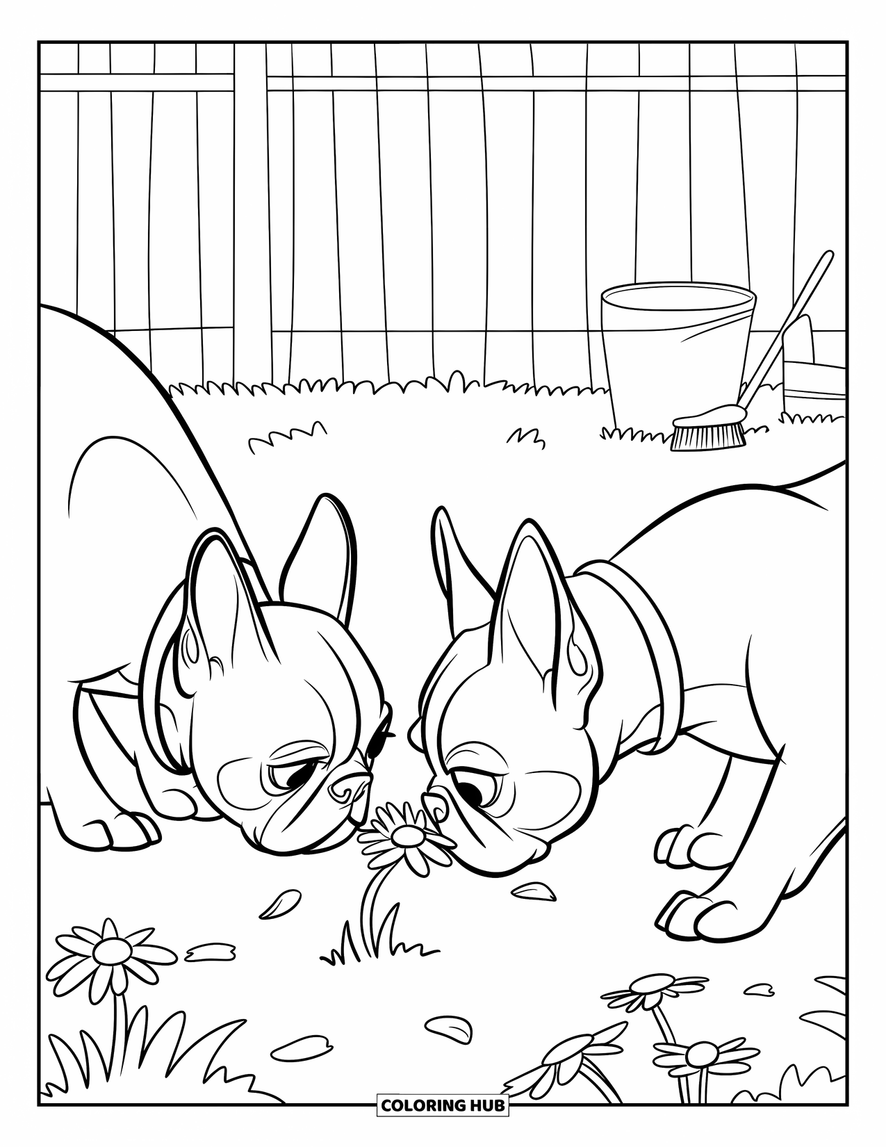 Boston Terrier Coloring Page for Kids: Two Boston Terriers sniffing flowers near a pail and brush in a fenced backyard