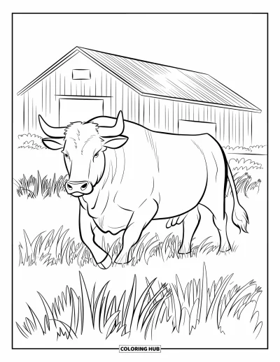 Desenho de touro para colorir para crianças: Um touro em movimento caminha pelo capim alto passando por um celeiro rústico