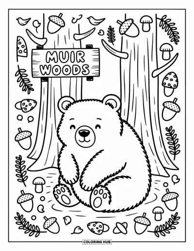 Coloriage de Californie pour adultes : Un ours attendrissant assis sous des séquoias avec des oiseaux, des champignons et un panneau de sentier Muir Woods