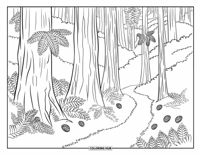 Coloriage de Californie pour adultes : Un sentier forestier qui serpente entre de grands séquoias et un sol feuillu parsemé de pommes de pin