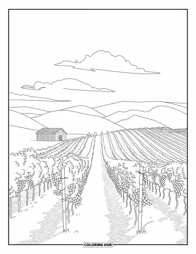 Coloriage de Californie pour adultes : Un vignoble de Napa avec des rangées de ceps, une grange et des collines douces