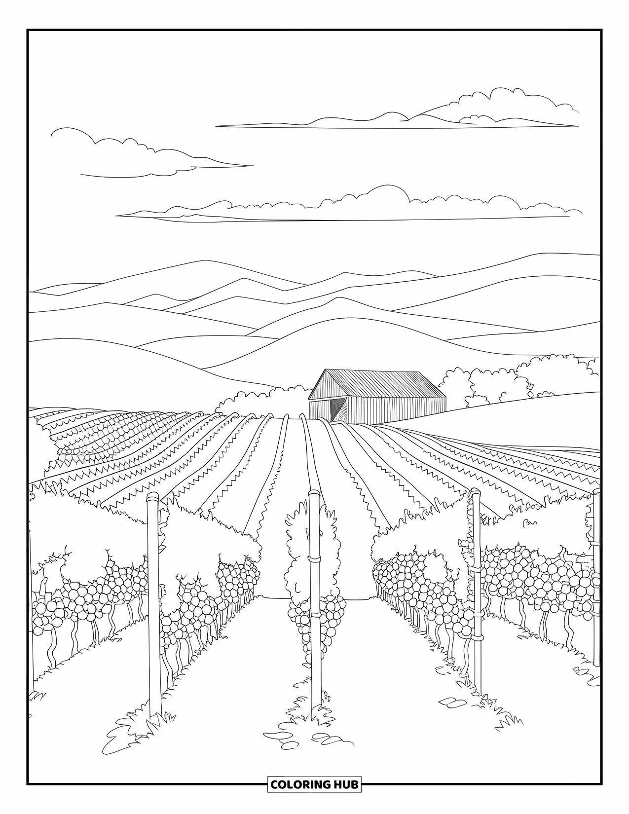 California Coloring Page for Adults: A peaceful vineyard scene with grapevines, a rustic barn, and fluffy clouds