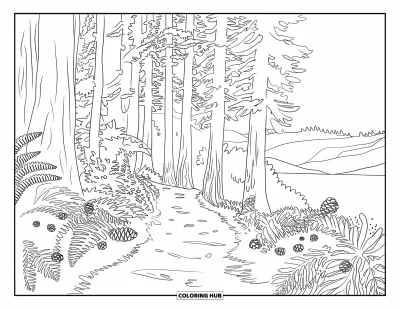 Coloriage de Californie pour adultes : Un sentier tranquille dans les séquoias bordé de fougères, de pommes de pin et de collines au loin