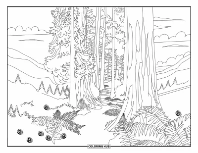 Coloriage de Californie pour adultes : Un sentier en forêt de séquoias qui traverse de grands arbres, des fougères et des pommes de pin éparpillées