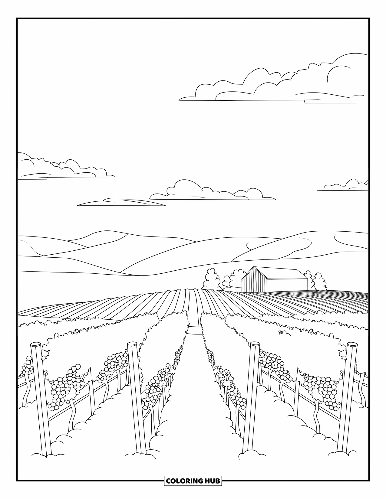 California Coloring Page for Adults: Napa grapevines line a hillside with a barn under a soft cloudy sky