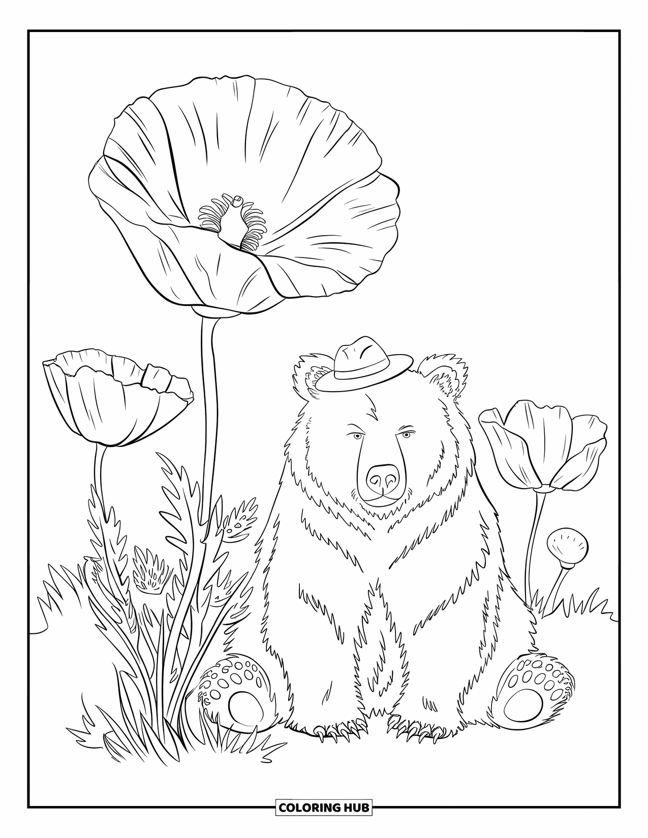 California Coloring Page for Kids: A grizzly bear with a tiny hat rests beside a huge California poppy