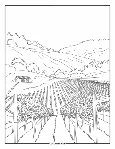 Coloriage de Californie pour enfants : Un paysage de vignoble avec des collines, des treillages et une petite ferme au loin