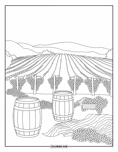 Coloriage de Californie pour enfants : Un vignoble avec des rangées de vignes, des tonneaux et un espace pique-nique sur du gravier blanc