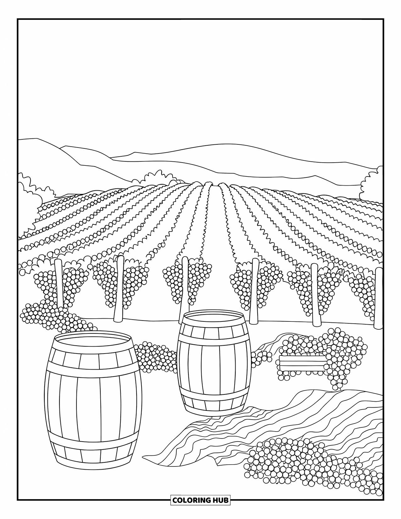 California Coloring Page for Kids: A vineyard with grape rows, barrels, and a picnic area on white gravel