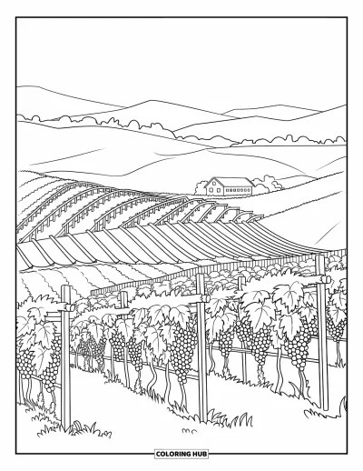 Coloriage de Californie pour enfants : Un vignoble avec des treillages en bois, des ceps et une ferme clôturée au milieu de collines ondulantes