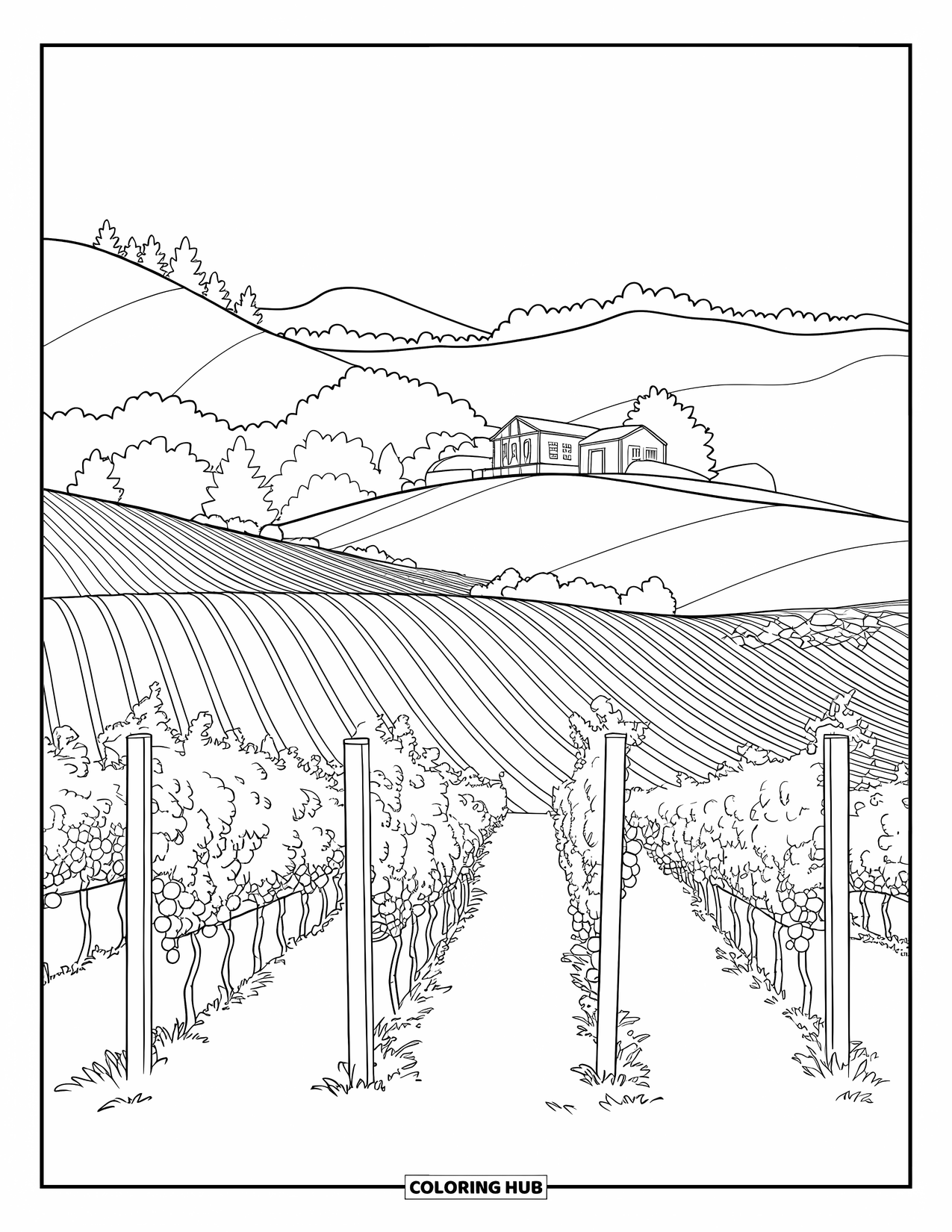 California Coloring Page for Kids: Lush vineyard hills with grapevines and a farmhouse surrounded by trees
