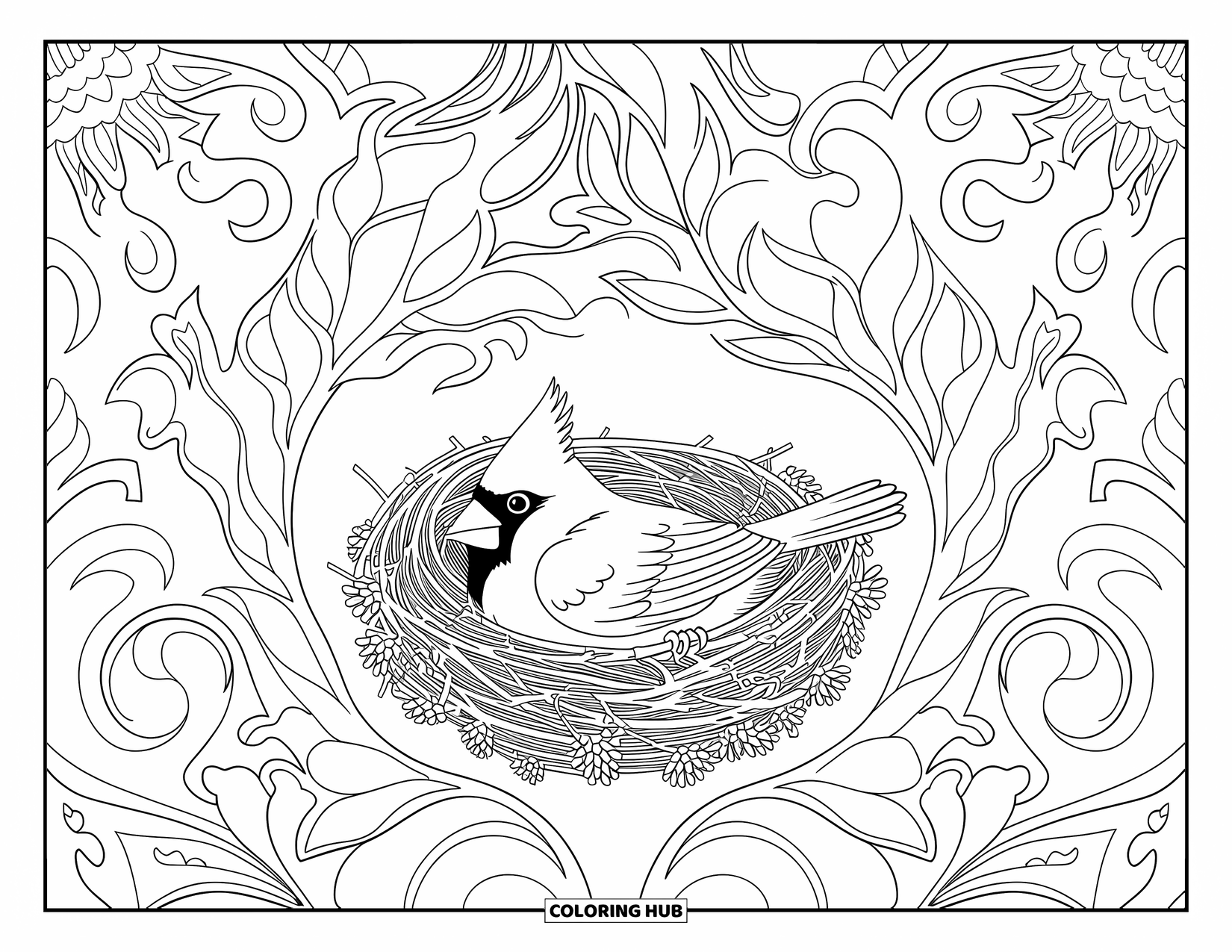 Cardinal Coloring Page for Adults: Cardinal rests in a nest wrapped in intricate floral patterns