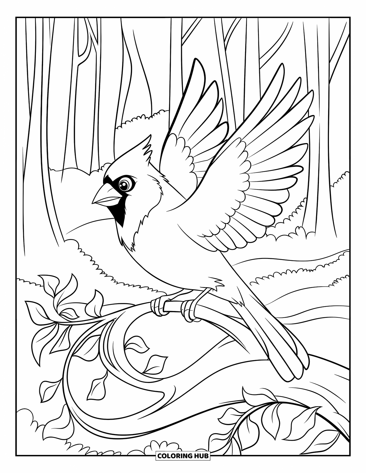 Cardinal Coloring Page for Kids: Cardinal lands on a twisty branch in a quiet forest