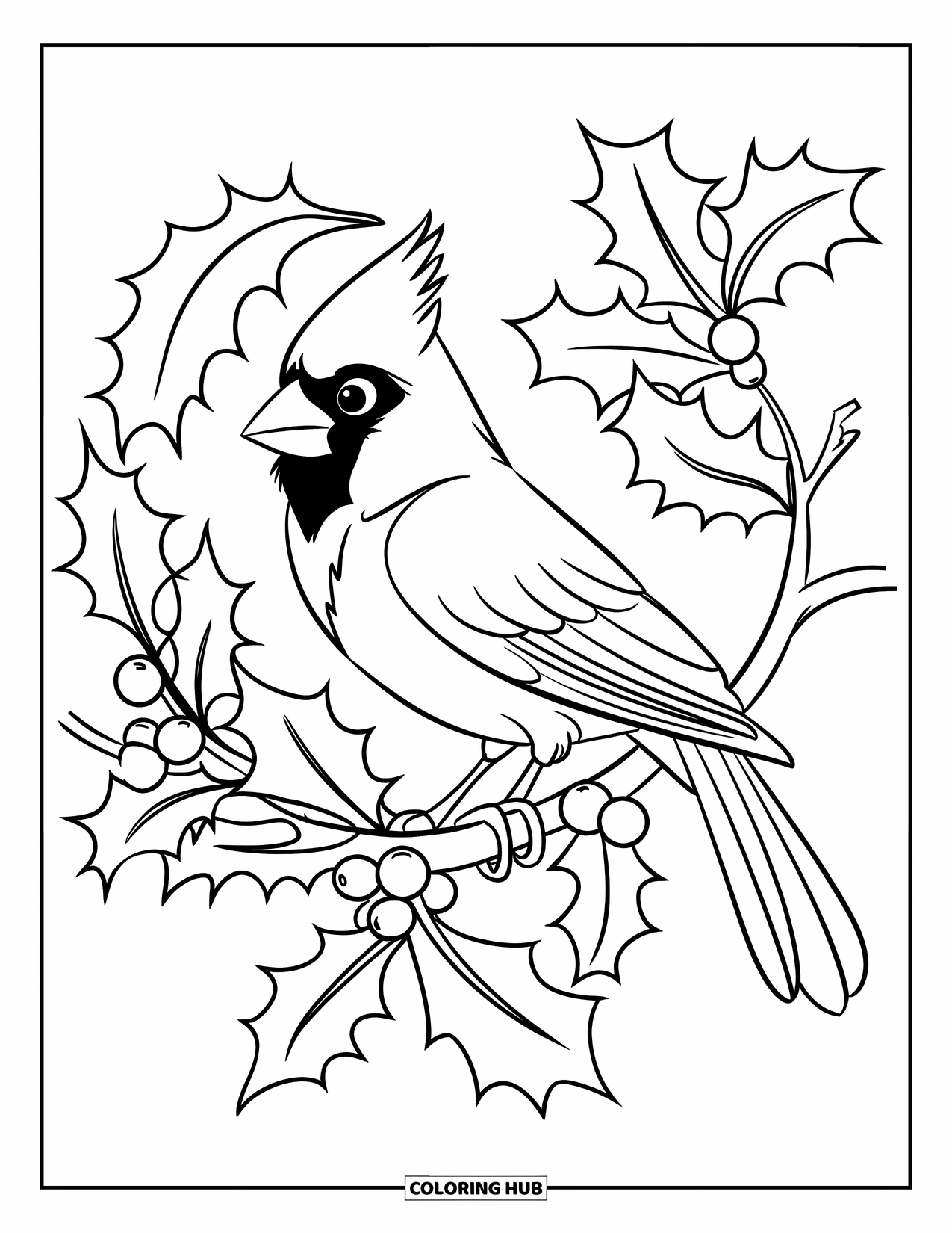 Cardinal Coloring Page for Kids: Cardinal perched on a holly branch with sharp leaves and round berries