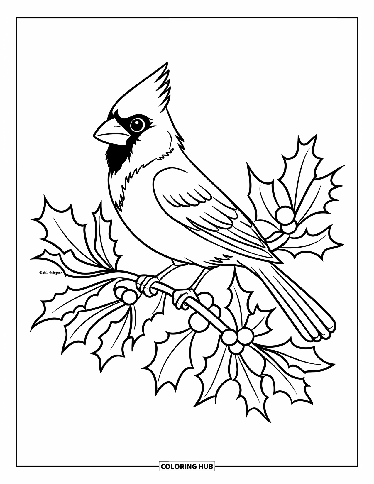 Cardinal Coloring Page for Kids: Cardinal sits on a holly branch filled with berries and pointed leaves