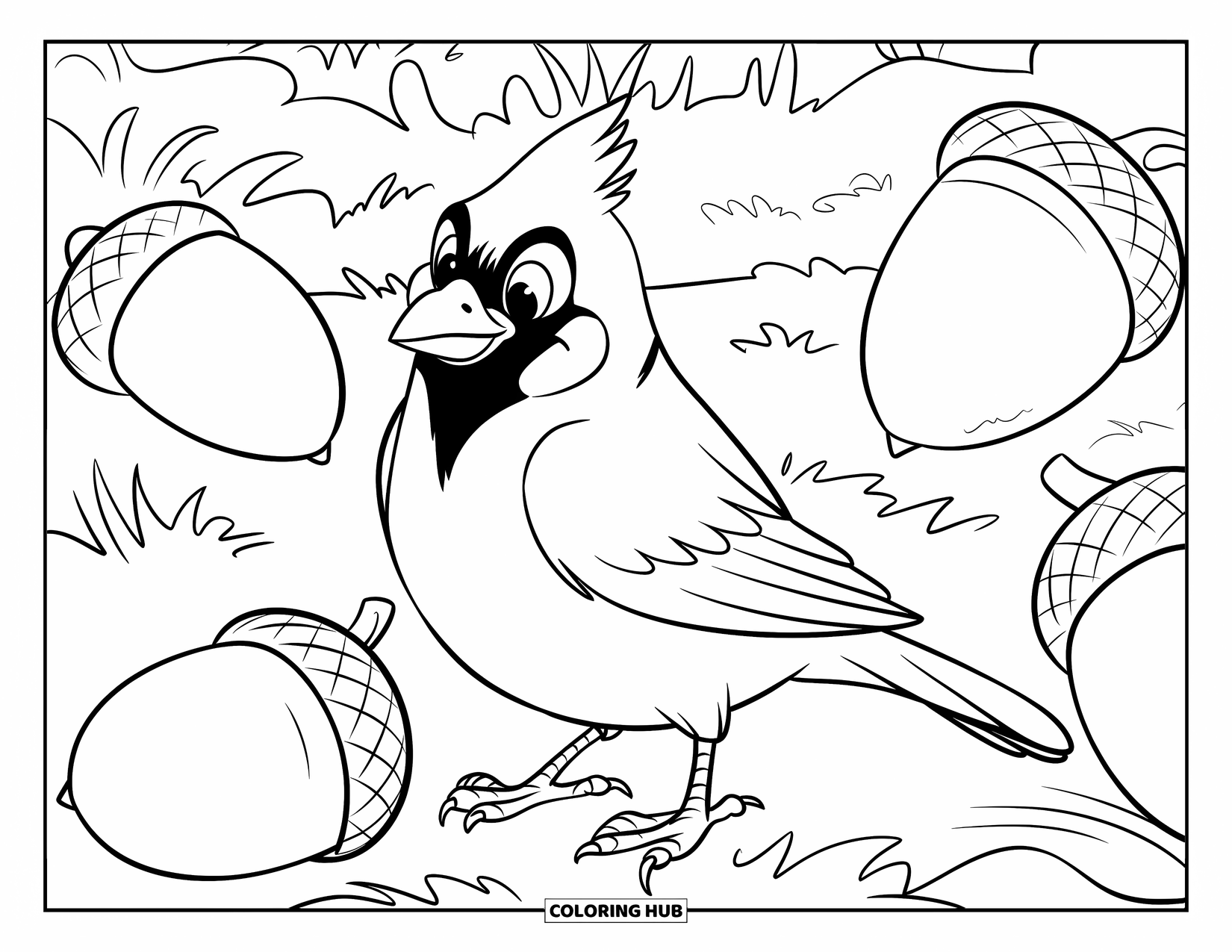 Cardinal Coloring Page for Kids: Chubby cardinal stands near scattered acorns in a grassy field