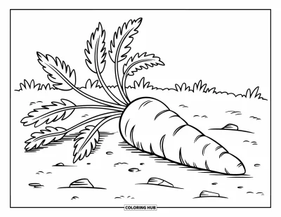 80+ Carrot Coloring Pages